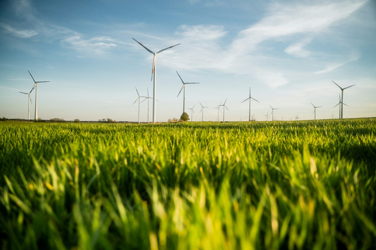 Wind turbines above a green agricultural field in Brandenburg
